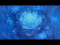 Sarah McLachlan - Ice (The Freedom Sessions) (lyrics)