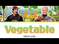NORAZO - Vegetable Lyrics (노라조 - 야채 가사) (ver.섬) [Color Coded Lyrics Han/Rom/Eng]