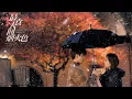 Download Lagu The Beauty of Falling Before Fireworks - If Love has a Will