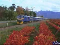 Download Lagu Blou Trein   -   Charles Jacobie