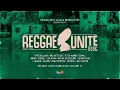 Various Artists-Mixtape 100 Dubplates for Reggae-Unite Blog Volume 17 -2026