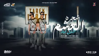 شجرة العشم   طارق لبط                                  دندنها