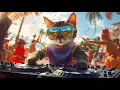 Download Lagu Samba Meets Tech House in Rio 🎭🔥 | DJ Miaww Live Set in Carnival Takeover 🇧🇷