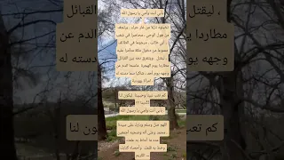 بأبي أنت وأمي يا رسول الله كلام من ذهب يوتوب اكسبلور Fypシ Viral فرنسا اسبانيا بلجيكا ايطاليا 