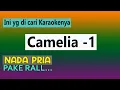 Download Lagu KARAOKE CAMELIA 1 - NADA PRIA