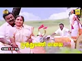 Download Lagu Muthumani Malai Unna -Video Song | Chinna Gounder | Ilaiyaraja | Vijaykanth | Sukanya | Stereo | HD