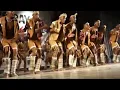 Lagu Phatisi dancing of Botswana 🇧🇼 / reaction