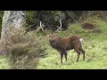Download Lagu See the bullet Sika stag slow mo kills