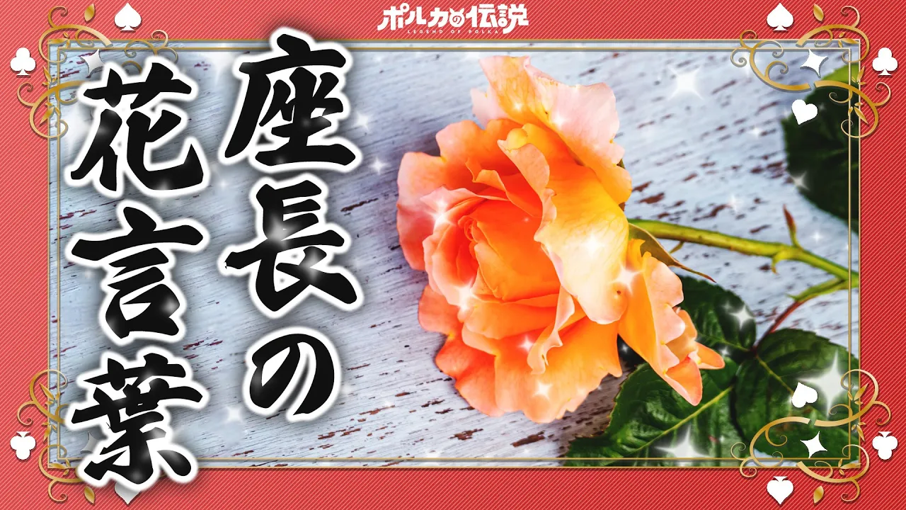 【ポルカの伝説】薔薇の花言葉って知ってっか？