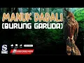 Download Lagu MANUK DADALI LAGU DAERAH JAWA BARAT [CIREBON]