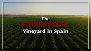 This is Where the World s Best-Selling Brandy Emperador begins