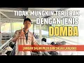 Download Lagu CEGAH KEGAGALAN TERNAK DOMBA || MENGENALI JENIS DAN TUJUAN BETERNAK