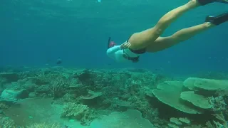 Free Diving Paradise – Free Range Sailing Ep 38