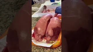 تجربه حية تبرز عملية التنفس لدى الرئتين  تجربه حية تبرز عملية التنفس لدى الرئتين