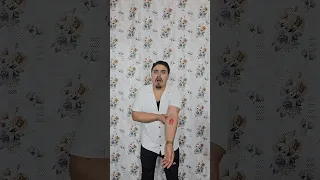 كلب يعض صاحبة دكتور تطعيم 