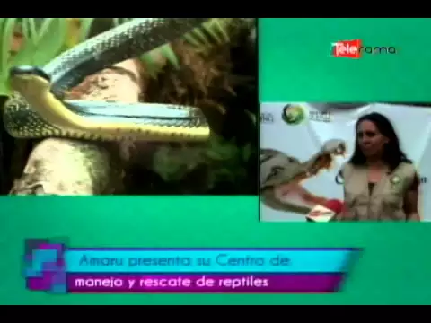 Amaru presenta su centro de manejo y rescate de reptiles