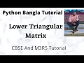 Print or Display the Lower triangular matrix in Python Bangla