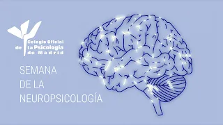 presentation of neuropsychology week 