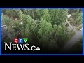 Pilot dead in plane crash near Nanaimo