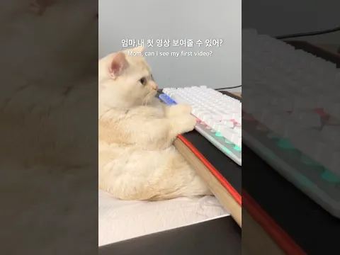 배다복💛