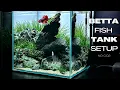 Download Lagu Betta Fish Tank Setup | Iwagumi Aquascape for Betta Fish | Aquascaping Tutorial | Nano Aquarium