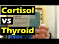 Cortisol s Negative Effects on Thyroid Function