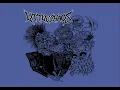 Download Lagu LITTLE CHAOS - PUNK AND SKIN