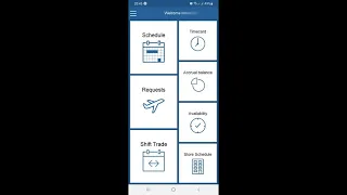 How to install ESS41 Timecard and checking Holiday booked or Declined