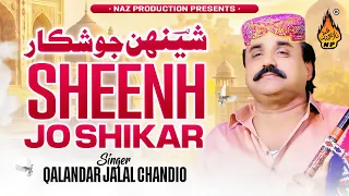 SHEENH JO SHIKAR | Qalandar Jalal Chandio | New Sindhi Song 2026 | Naz Production