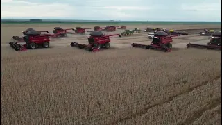 COLHEITA NO MATO GROSSO