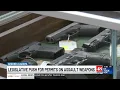 Alabama bill would require permits for assault weapons