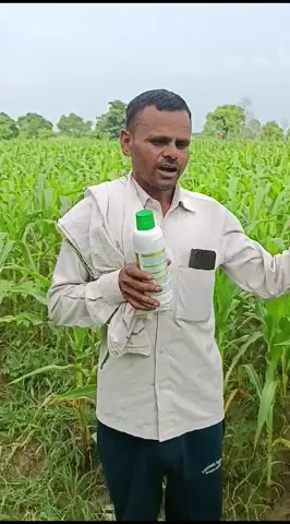 कन्नौज के फूलसिंह की नैनो यूरिया प्लस के छिड़काव से कैसे लहलहाई मक्का की खेती | वनइंडिया हिंदी