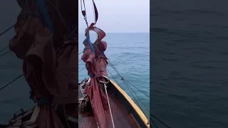 Appreciate and be grateful #appreciation #grateful #sailing