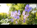 Download Lagu Beautiful Relaxing Music, Vol. 1 ~ Light Piano, Guitar \u0026 Flute Music with Birds Singing
