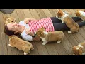 Download Lagu 20 Minutes of Adorable Puppies 🐶