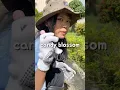 Download Lagu JOIN LIVE TIKTOK YANG MAU GROW A GARDEN SERIES‼️ #marshmallow #justfluff #marshmallowjustfluff