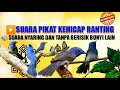 Download Lagu Suara pikat kehicap ranting//Selendang biru