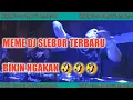 Download Lagu Dj Slebor Meme, Meme Slebor, Slebor Mix Meme, Story wa Slebor 30 Detik, Asupan Meme, Slebor Cong