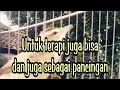 Download Lagu UNTUK TERAPI DAN PANCINGAN KERAK BASI !!!