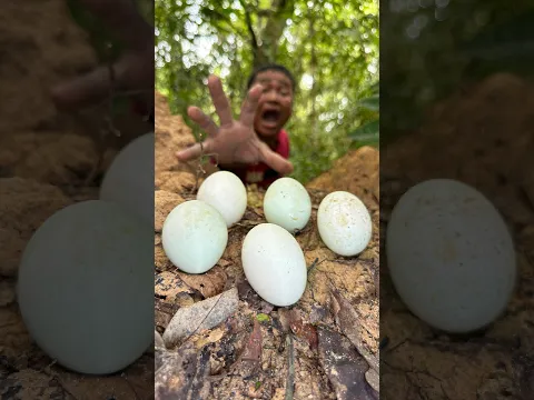 Egg Cooking Clay Hacks for Survival in the Forest