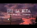 Sei la muda - Dora Bria ft. Crimson (Lirik)