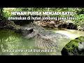 Download Lagu ajaib.! fosil hewan laut di atas gunung | bukti pulau jawa dulu didasar laut