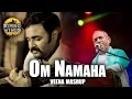 Download Lagu Om Namaha ||An evergreen haunting melody|| Ilayaraja's magic|| Stringwings|| Phaninarayana veena