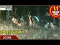 Lagu Bobbili Vamsam Movie || Meena Fall Down When She Is In Pregnant || Rajasekhar || Shalimarcinema