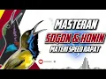 Download Lagu MASTERAN SOGON DAN KONIN‼️ MATERI SPEED RAPAT FULL TEMBAKAN #sogon #sogongacor #sogokontong