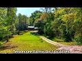 Tennessee Mini Farms On 14 Acres TN Real Estate Stream Hobby Farming OHL Cabins