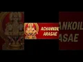 Download Lagu ACCHAN KOIL ARASAE