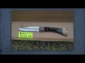 Photos of knife allegedly used in stabbing of Tristyn Bailey made public