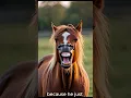 Download Lagu The horse's smile 02