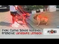 Download Lagu FRENCHIE BANDEL KENA MENTAL SETELAH DI KOREKSI FLOKI ‼️